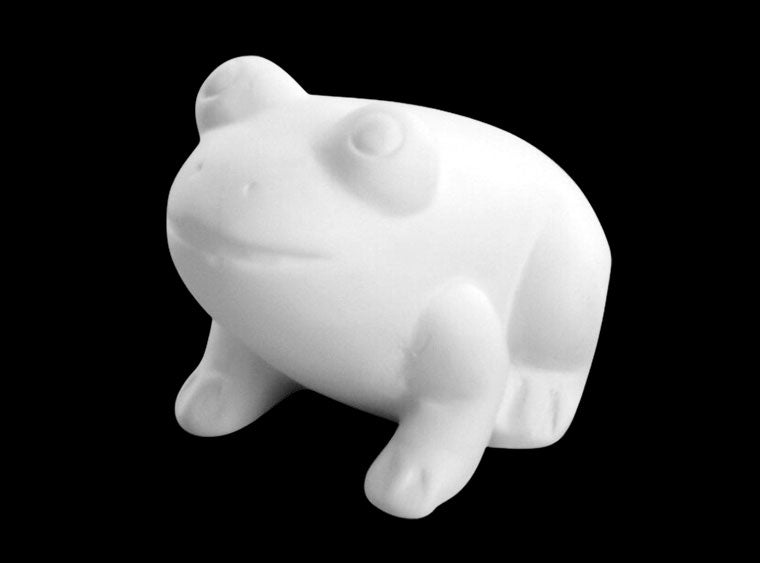 5. frog