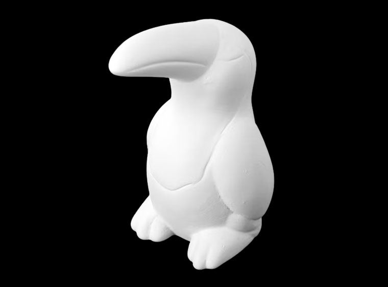 10. Toucan